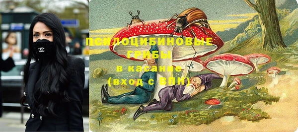 герыч Осинники