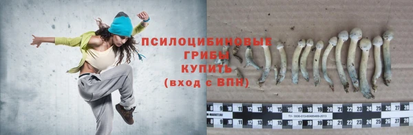 таблы Осташков