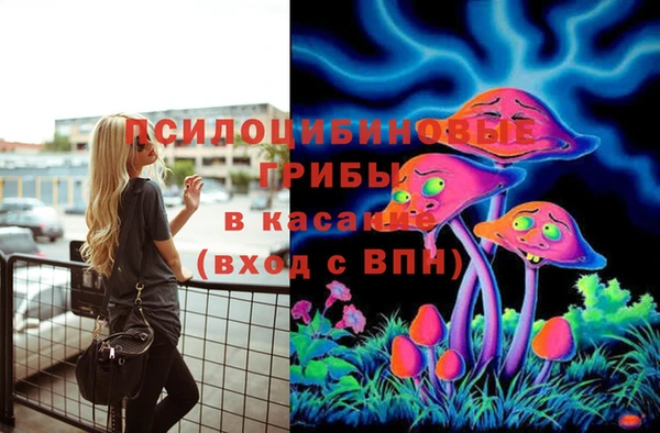 герыч Осинники