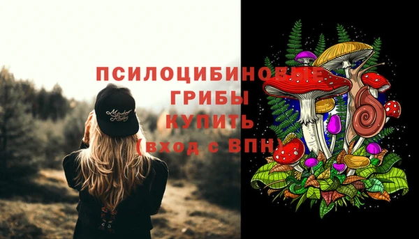 таблы Осташков