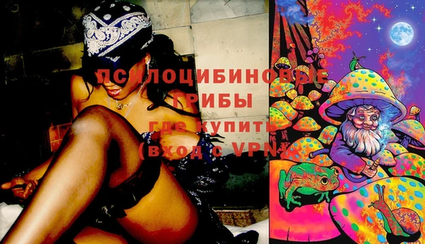 герыч Осинники